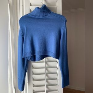 Zara Turtle neck cropped sweater.
